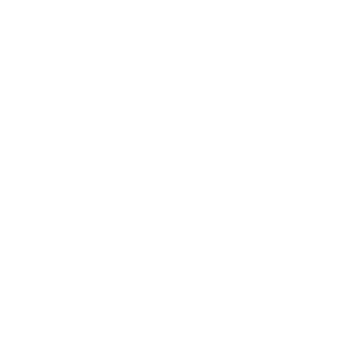 SARL ICSM_logo